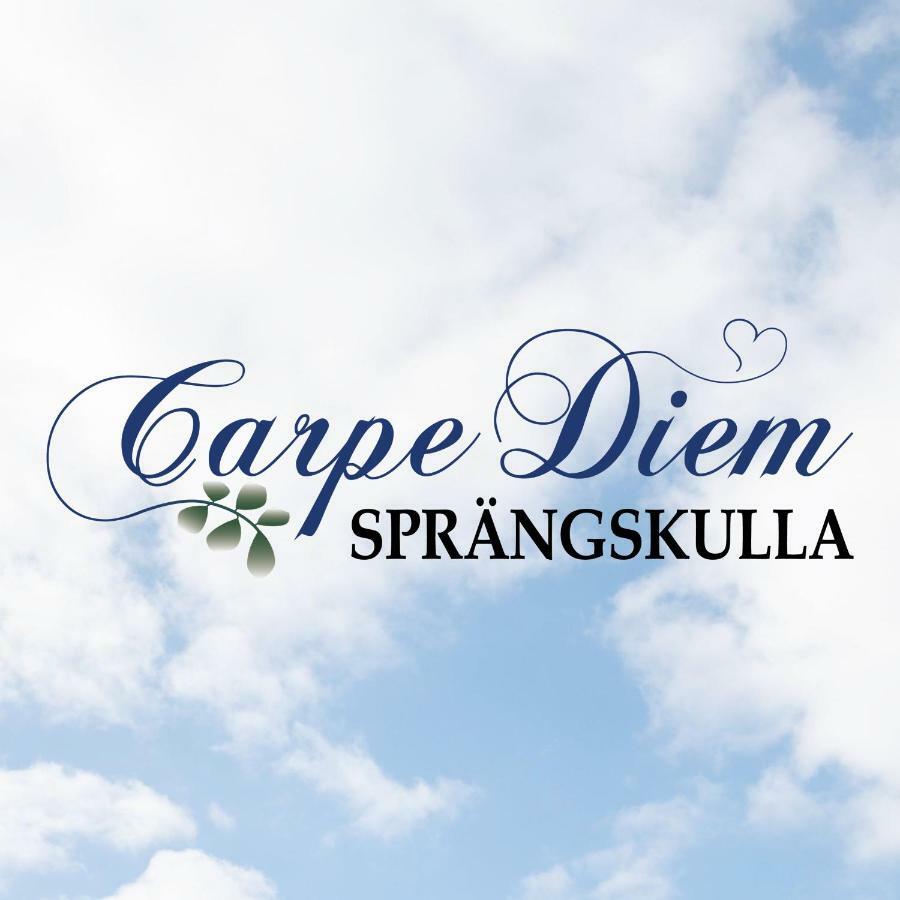 Carpe Diem Spraengskulla Veddige Zewnętrze zdjęcie
